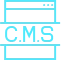 CMS Development & Integration